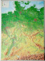 Preview: raised relief map germany