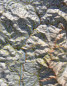 Preview: Raised relief map Arezzo