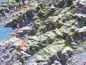 Preview: Raised relief map Corsica, big