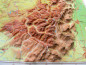 Preview: Raised relief map Lorraine