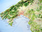 Preview: Reliefkarte_Mallorca_Palma