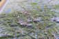 Preview: Raised relief map Alps East 1:500.000