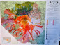 Preview: Geological Map Vesuv