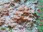 Preview: Raised relief map Vosges, medium size