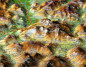 Preview: Relief Map Bavarian Alps