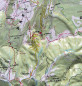 Preview: Raised relief map Chartreuse and Vercors