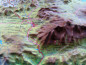 Preview: Raised relief map Granada