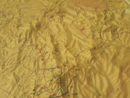 Raised relief map Algeria