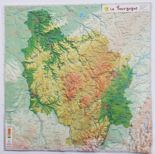 Raised Relief Map Burgundy