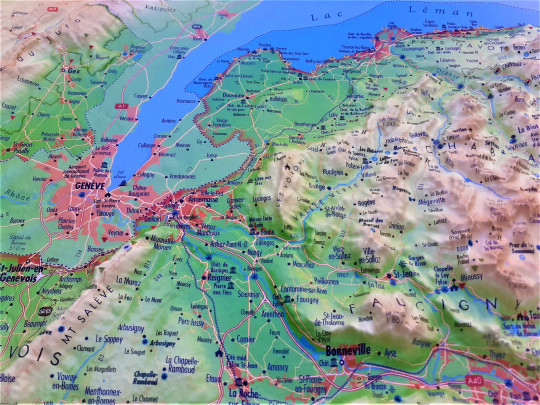 Relief Map High-Savoie