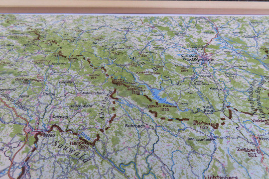 Raised relief map Alps East 1:500.000