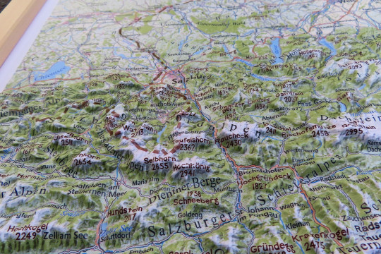 Raised relief map Alps East 1:500.000