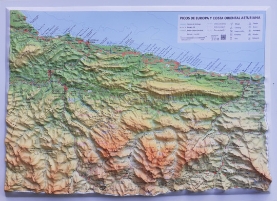 Raised relief map Picos de Europa and Costa Oriental