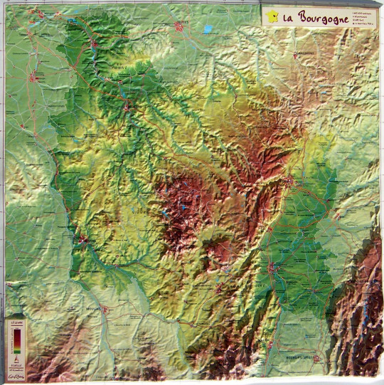 Raised Relief Map Burgundy