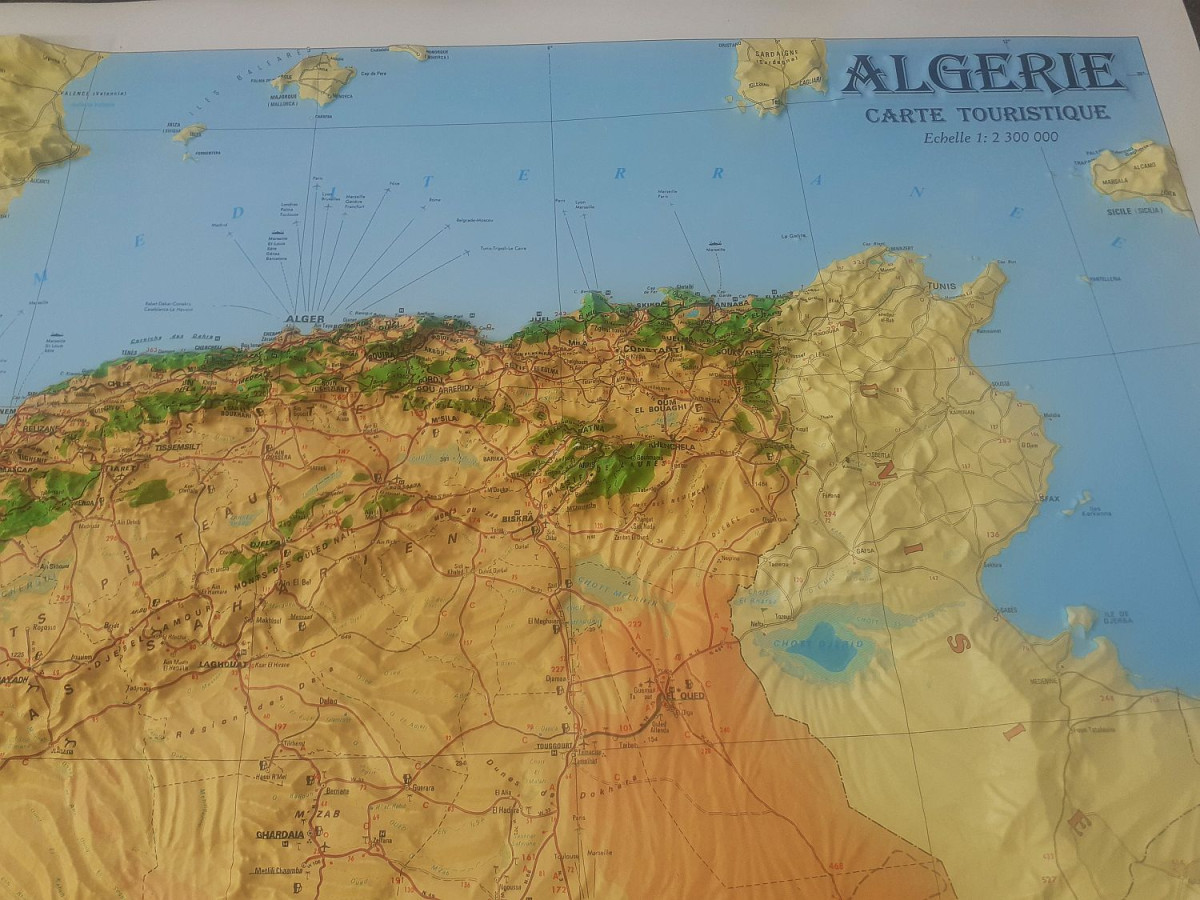 Raised relief map Algeria