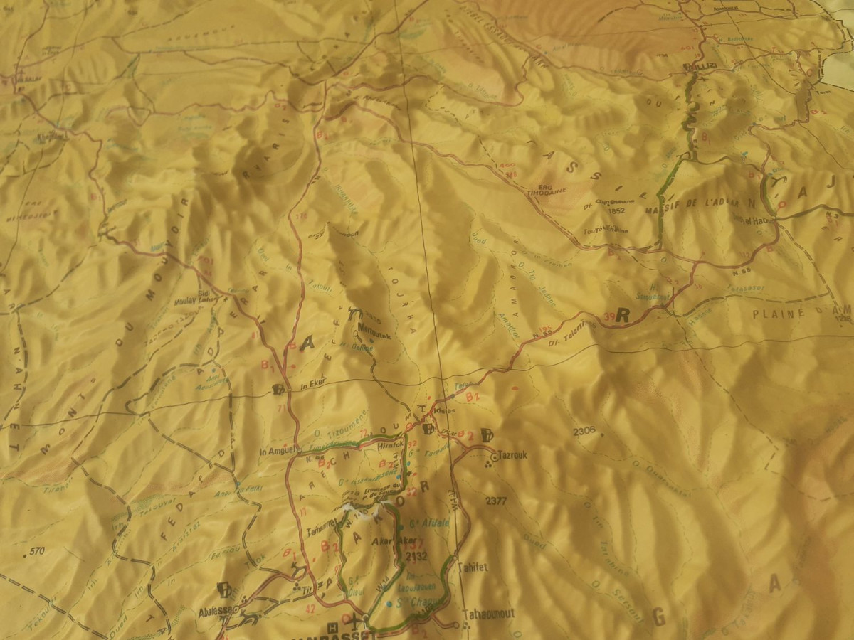 Raised relief map Algeria