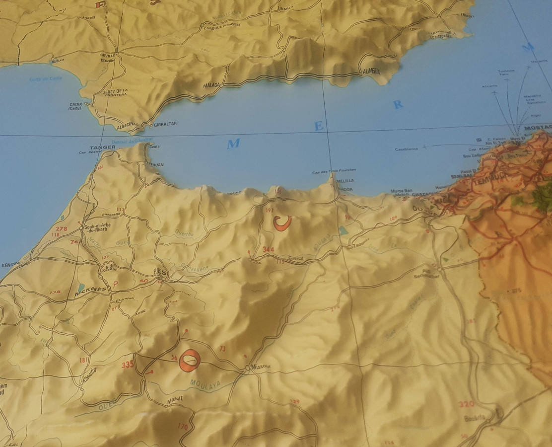 Raised relief map Algeria